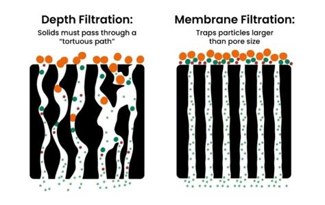 difference between autoclave and filtered|depth filtration vs membrane.